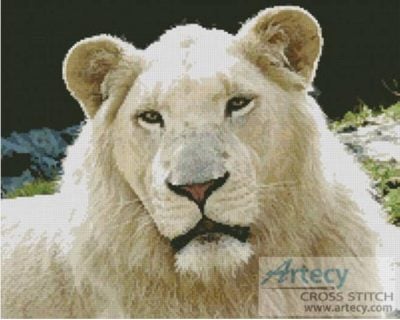White Lion (Stano Novak)