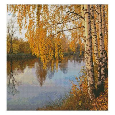 Birch Tree (Crop) (mobinovyc)