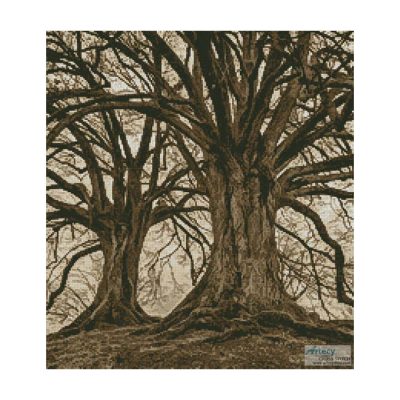 Branching Out (Sepia crop) (Johannes Plenio)
