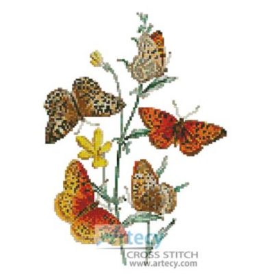 Aphrodite and other Butterflies on Viola (Fine Rare Prints)