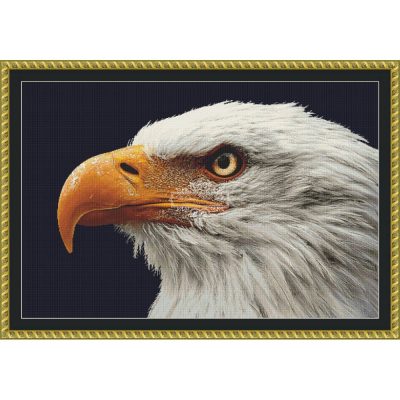 Bald Eagle (public domain)