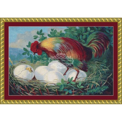 Colorful Rooster (TCSS)