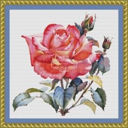 Coral Watercolor Rose (MINI) (Andrey Yanushkov)