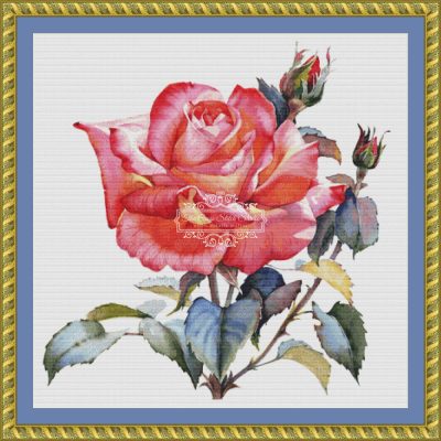 Coral Watercolor Rose (MINI) (Andrey Yanushkov)