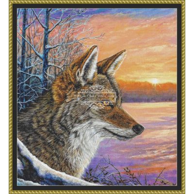 Daybreak Coyote (Misty Walkup)