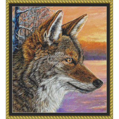 Daybreak Coyote (CROP) (Misty Walkup)