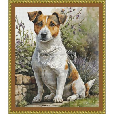 Jack Russell Portrait (Creative Images by Rus)