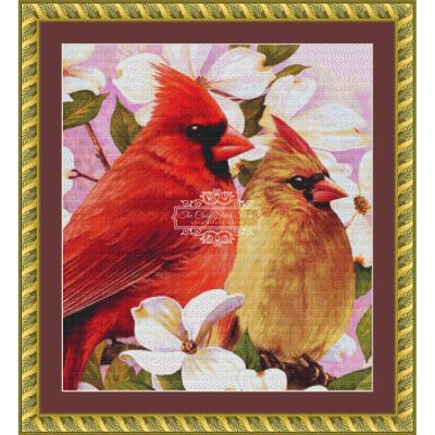 Mr. & Mrs. Cardinal (CROP - SNIPPET) (Greg Giordano)