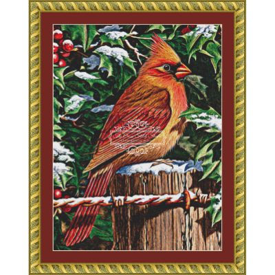 Mrs. Cardinal (CROP - MINI) (Dempsey Essick)