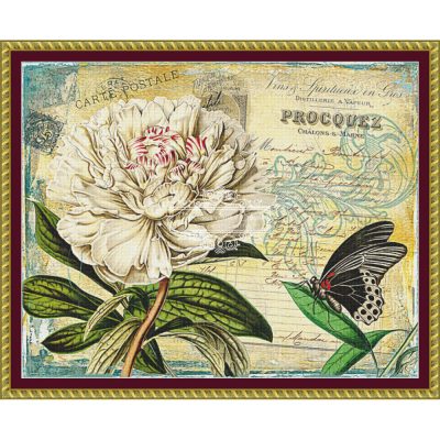 Peony Collage (Traci Vanover)