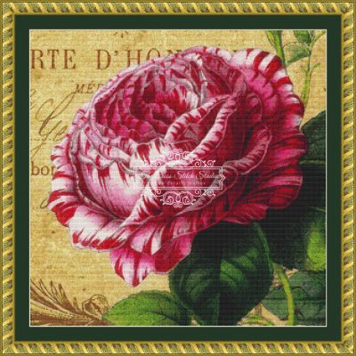 Peppermint Rose (SNIPPET) (The Graphics Fairy)