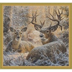 Snowy Seclusion (Abraham Hunter)