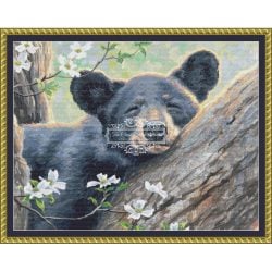 Spring Dreams (CROP) (Abraham Hunter)