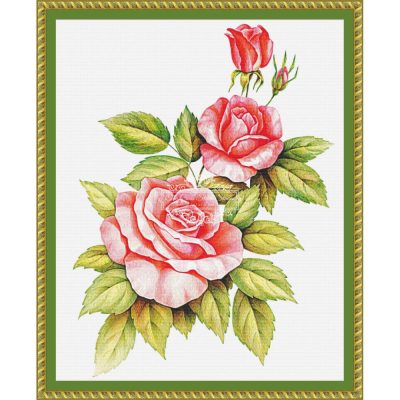 Trio of Roses (Somesun)