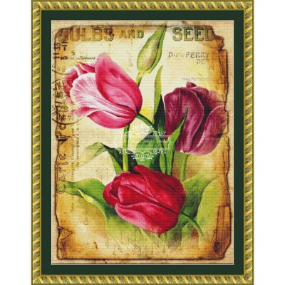 Tulips Seed Packet (J Lee Loo)