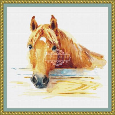 Watercolor Horse (CM Watercolors)