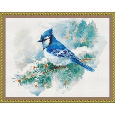 Watercolor Blue Jay (CM Watercolors)
