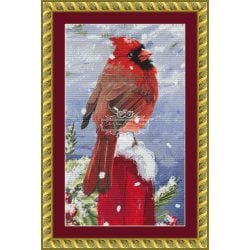 Winter Cardinal (CROP - SNIPPET)