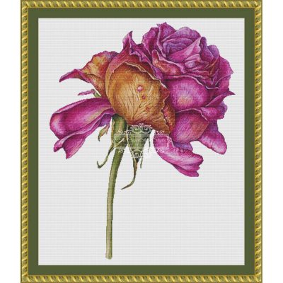 Withering Purple Rose (Mari Horbachova)