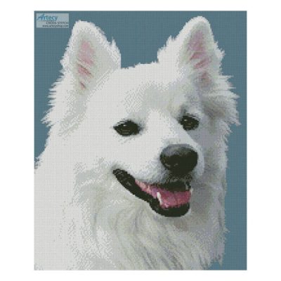 American Eskimo Dog 3 (Ben Lunsford)