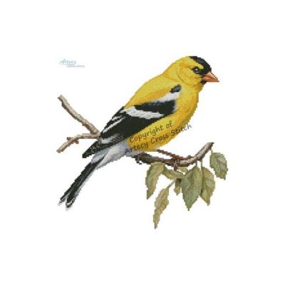 American Goldfinch on a Branch (T Clarke using Midjourney AI)