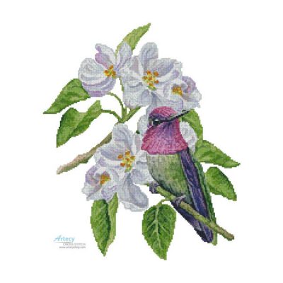 Anna's Blossom (Claire Harkness)