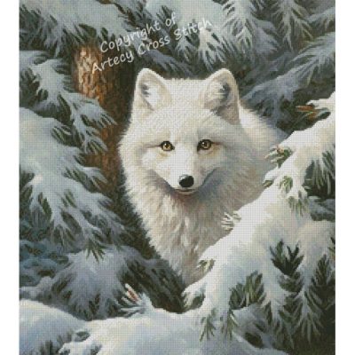 Arctic Fox (T Clarke using Midjourney AI)