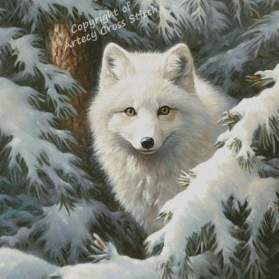 Arctic Fox (Large) (T Clarke using Midjourney AI)