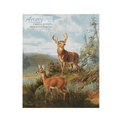 Awake Raquette Lake (Arthur Fitzwilliam Tait)