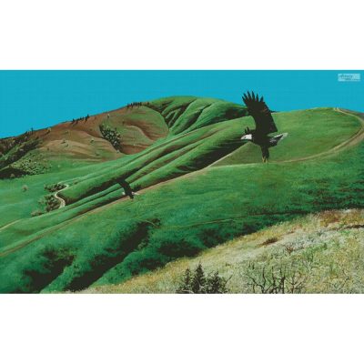 Eagles at Little Mountain (Large) (Mike Bennett)