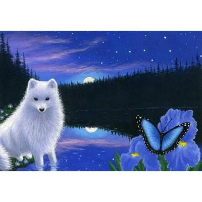 Big Dipper Nights (Bridget Voth)
