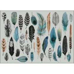 Feather Assortment (Public Domain or Stock Art (Licenced))