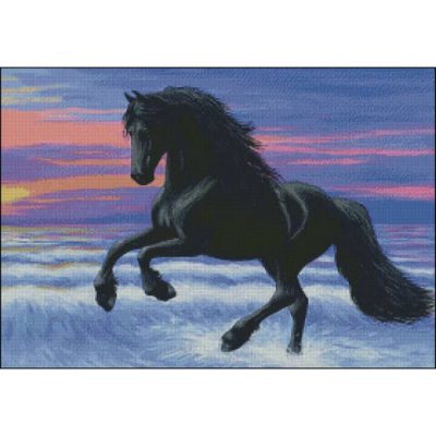 Frolicking Friesian (Bridget Voth)