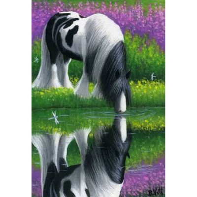 Gypsy Reflection (Bridget Voth)