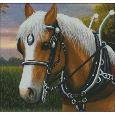 Harnessed For Harvest (Bridget Voth)