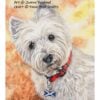 JR-Geordie Geordie (the Westie)