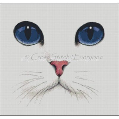 Kitty Blue Eyes (Public Domain or Stock Art (Licenced))