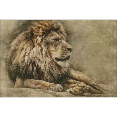 Lion And Lioness (Public Domain or Stock Art (Licenced))