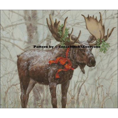 Merry Moose (Donna Race)