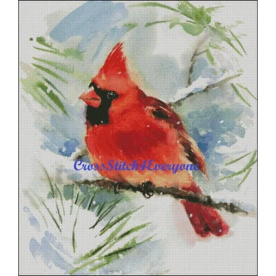 Mr Cardinal (CM Watercolor)