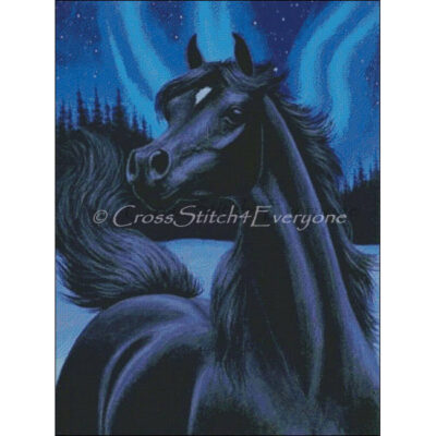 Night Dance (Bridget Voth)