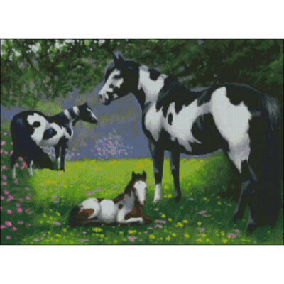 Overo Paint Family (Bridget Voth)