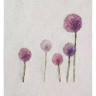 Purple Allium (Public Domain or Stock Art (Licenced))