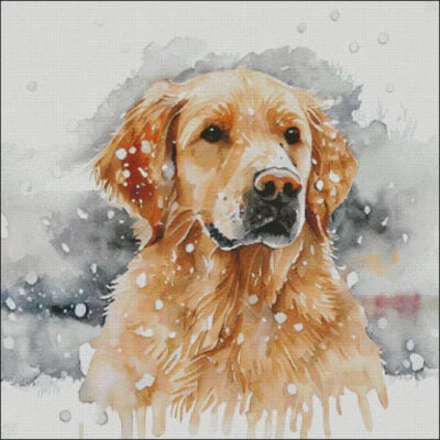 Snow Capped Golden Retriever (Enliven Designs)