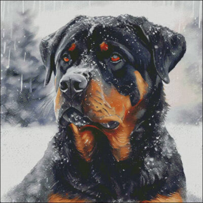 Snow Capped Rottweiler (Enliven Designs)
