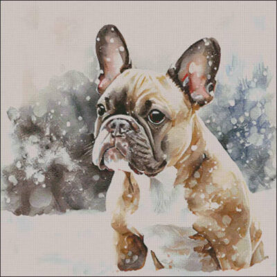 Snow Capped Fawn Frenchie (Enliven Designs)