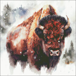 Snowy Bison (Enliven Designs)