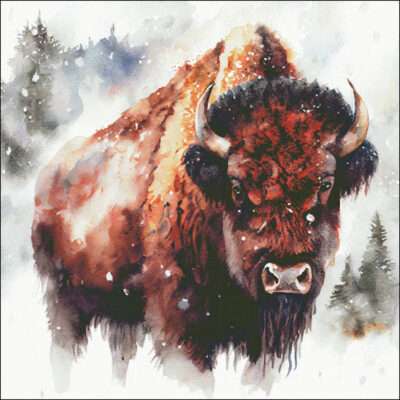 Snowy Bison (Enliven Designs)