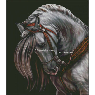 Spanish Andalusian Head Study (Gekata1989)