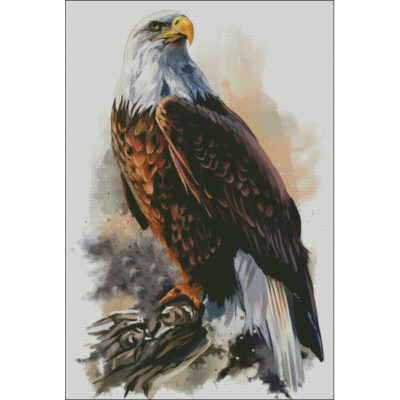 The Bald Eagle (Lorri Kajenna)